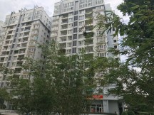, ảnh đại diện2