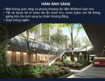 ban biet thu quan 2, ảnh đại diện5