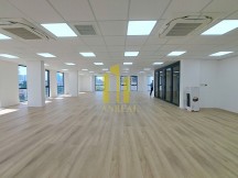 ban dat quan 2, ảnh đại diện2