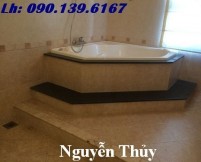 cho thue biet thu quan 2, ảnh đại diện3